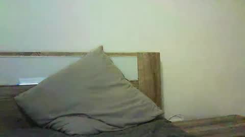 Selena online show from November 4, 4:28 pm