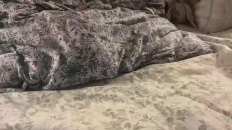 aj86cam online show from January 10, 2:02 am