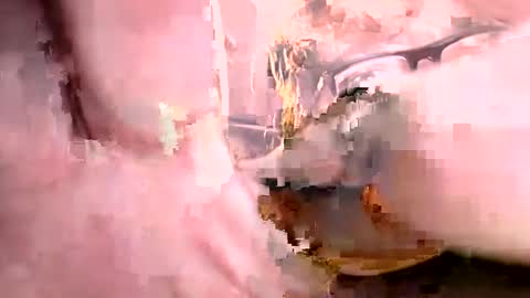 Snapshot of ajistightfeg chatting on October 1, 8:53 am Ajishigh online show from October 1, 8:53 am