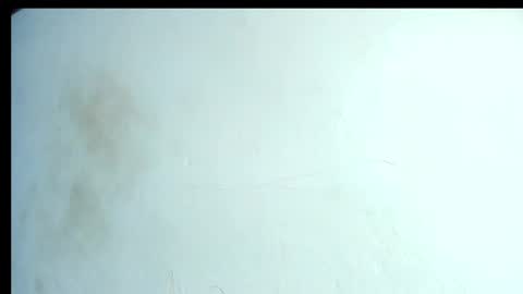 alahia66 online show from April 21, 2:56 pm