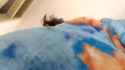 isabella online show from December 15, 12:31 pm