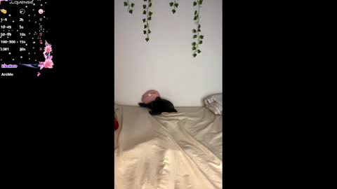 Snapshot of alaska_drew chatting on February 25, 11:08 am Alaska online show from February 25, 11:08 am