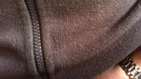 Snapshot of albert29 chatting on February 14, 10:34 am albert29 online show from February 14, 10:34 am