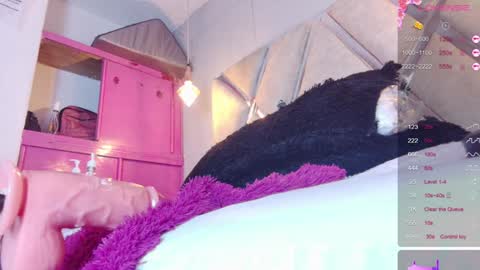 alejandra martins online show from January 12, 7:21 am