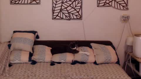 Sandra online show from February 25, 8:09 pm