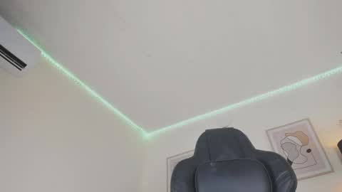 Snapshot of alex4diaz chatting on December 28, 12:47 am Alexa online show from December 28, 12:47 am