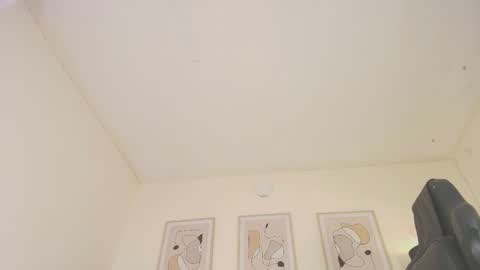 Snapshot of alex4diaz chatting on January 29, 10:11 pm Alexa online show from January 29, 10:11 pm