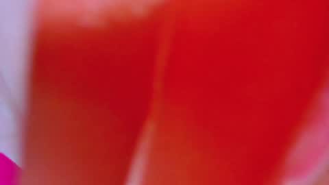 ALEXANDRA online show from February 4, 8:02 am