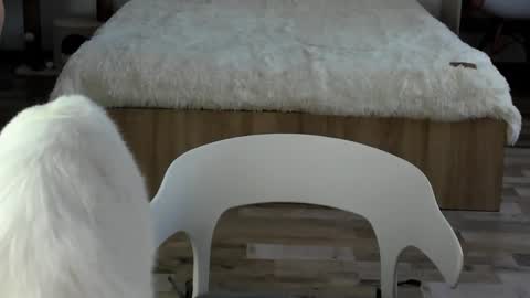 Alex online show from February 19, 4:30 am