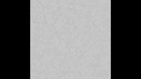 Alex Dimartino online show from September 13, 11:48 pm