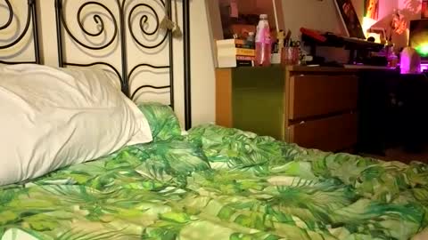 Snapshot of alexrhodesxxx chatting on December 22, 9:31 pm Alex online show from December 22, 9:31 pm