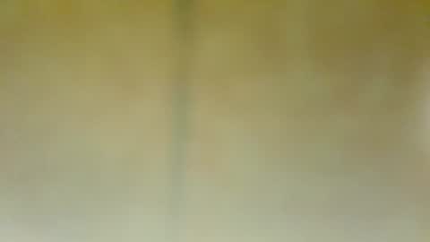 Snapshot of alfonsogomez110 chatting on January 22, 5:28 pm Alfonso Gomez online show from January 22, 5:28 pm