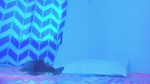 Snapshot of alice_lacroux chatting on January 20, 10:04 pm Alice online show from January 20, 10:04 pm