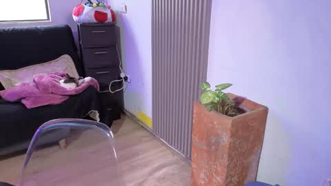 Alice online show from December 18, 1:39 pm