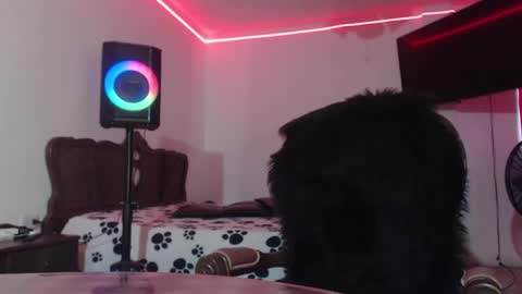 Snapshot of aliceesmiths chatting on February 10, 6:24 pm aliceesmiths online show from February 10, 6:24 pm