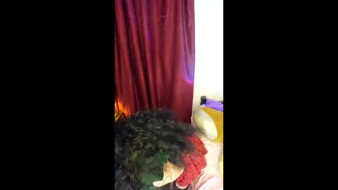 Snapshot of alicekingdom chatting on February 8, 12:03 am Alicekingdom online show from February 8, 12:03 am