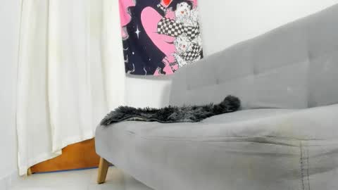 alice online show from January 15, 8:23 pm