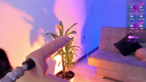 Alicee  online show from January 16, 9:41 pm