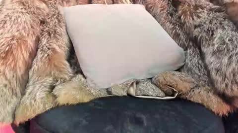 ALICE  online show from November 20, 4:34 am