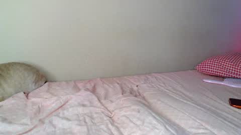 Snapshot of alicerabdit chatting on July 18, 3:49 pm Alice online show from July 18, 3:49 pm