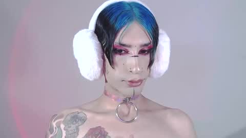     online show from January 15, 4:47 am