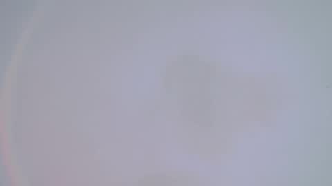     online show from February 14, 1:34 am