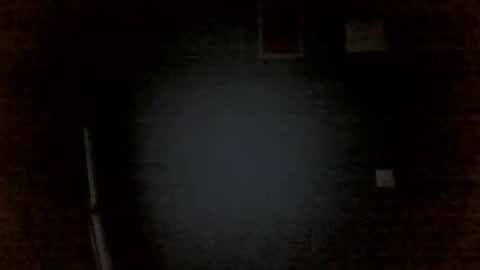 Chris online show from April 14, 11:44 pm