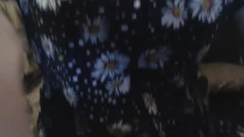 Snapshot of alisa_marta_ chatting on November 11, 8:09 pm Alisa Marta liska online show from November 11, 8:09 pm