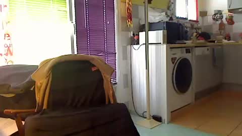 Sandwich online show from January 18, 1:04 pm