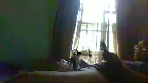 allbermy online show from December 2, 1:13 pm