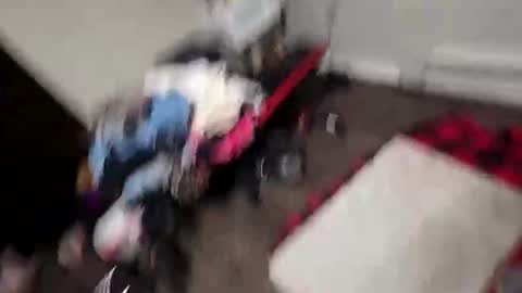 Snapshot of alldickandass11 chatting on February 10, 11:31 pm alldickandass11 online show from February 10, 11:31 pm