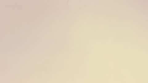    online show from December 1, 10:53 am