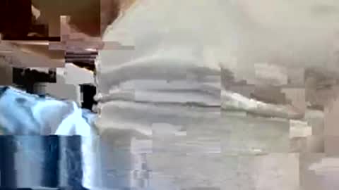 Snapshot of allman617 chatting on November 13, 6:07 pm allman617 online show from November 13, 6:07 pm