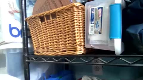 allyanalangel online show from January 5, 6:33 pm