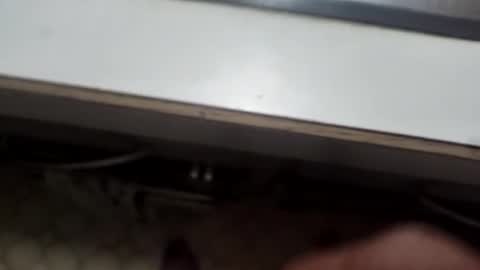 alostmale online show from December 8, 10:52 am