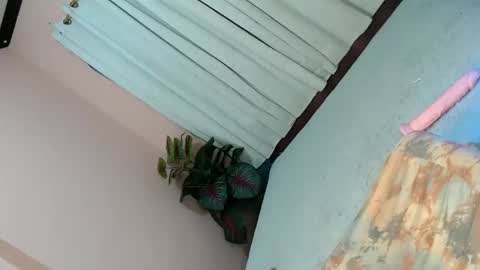 Snapshot of alove_too_last chatting on February 2, 4:43 pm LEXY online show from February 2, 4:43 pm