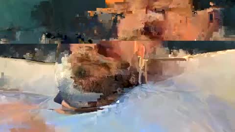 alpachino7777 online show from February 19, 5:27 pm