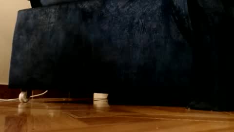 Snapshot of alphaswitchard chatting on March 1, 12:12 am ur god online show from March 1, 12:12 am