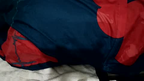 amadeusz online show from December 22, 1:34 am