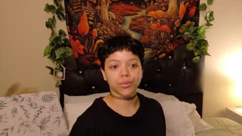         online show from September 25, 12:09 pm