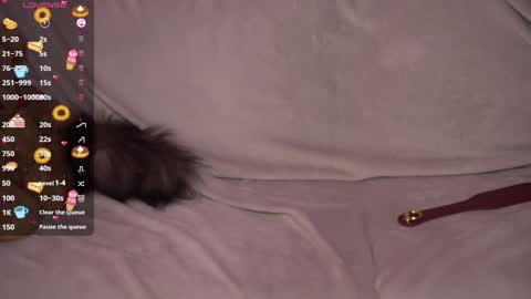 Snapshot of amandaafire chatting on December 27, 5:52 am Amanda online show from December 27, 5:52 am