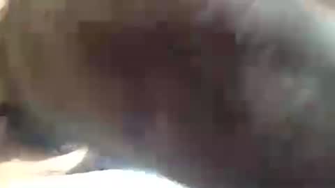 Snapshot of amandapanda1 chatting on July 19, 1:48 pm amandapanda1 online show from July 19, 1:48 pm