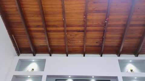 Ambar  online show from March 30, 11:44 am