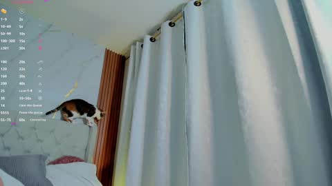 Snapshot of amelie_leigh chatting on February 28, 7:37 am Alejandra online show from February 28, 7:37 am