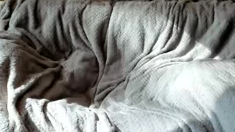 Snapshot of american_horny chatting on October 24, 5:42 pm Olive  Walter online show from October 24, 5:42 pm