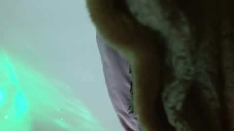 Ambaar online show from February 10, 11:09 pm