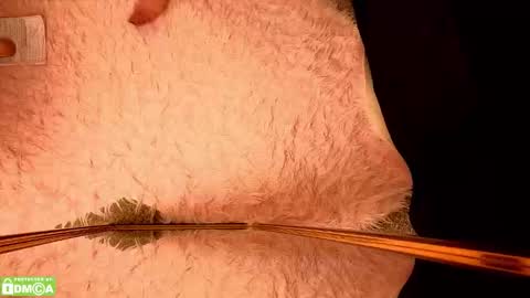 Amora Moore online show from January 17, 1:21 am