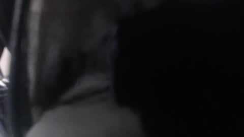 miss unforgettable online show from March 24, 11:15 am