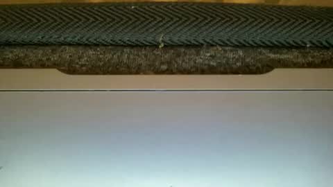 Snapshot of amormio69 chatting on February 11, 10:59 pm 23cm4you online show from February 11, 10:59 pm