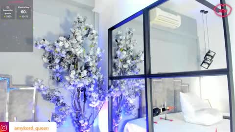 Snapshot of amykord chatting on February 19, 11:39 am Amykord online show from February 19, 11:39 am